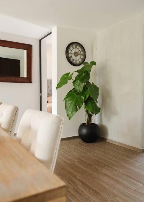 Mr. W Park View Balcony Espana 602 مدينة مكسيكو المظهر الخارجي الصورة